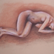 Akt (pastel / papier)