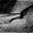 2016_telo(tus na papieri,A4)